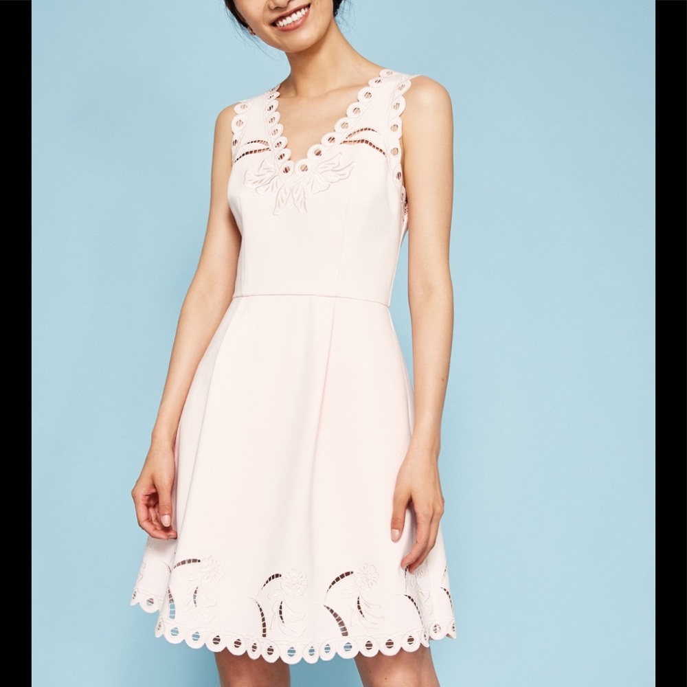 Ted Baker Emalise V-Neck Embroidered Skater Dress - Nude Pink